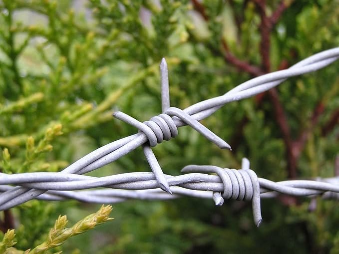 JINDAL Barbed Metal Wire for Fencing with Free G.I. Wire and Safety Gloves, Barbed Wire for Fencing Kanta taar for Fence Poles Trees Antennae Wire with Hook(14 Gauge Wire) (600 FEET)